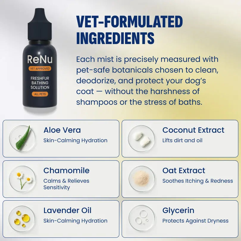 FreshFur Shower Brush + Bathing Solution